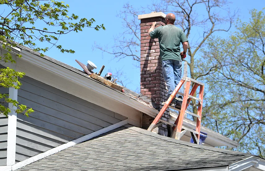 Chimney & Fireplace Inspections Services in Wesley Chapel, FL